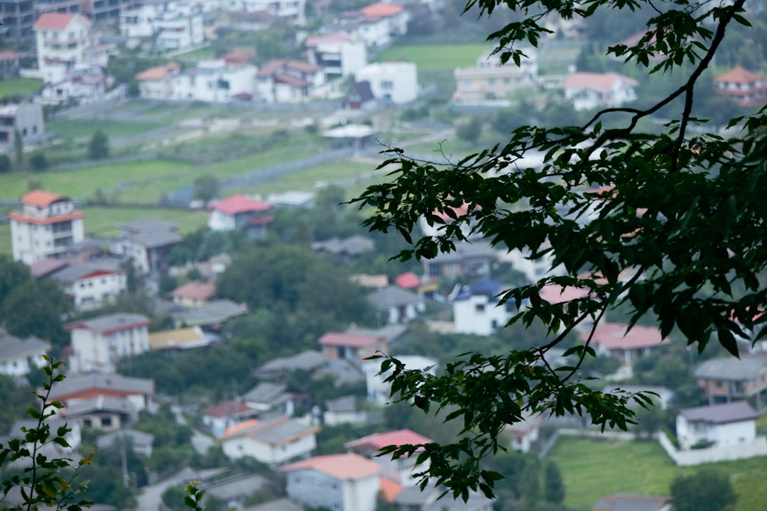 descubra o que é carragenina, suas principais utilizações na indústria alimentícia, benefícios, possíveis riscos e informações relevantes sobre este aditivo extraído de algas marinhas.