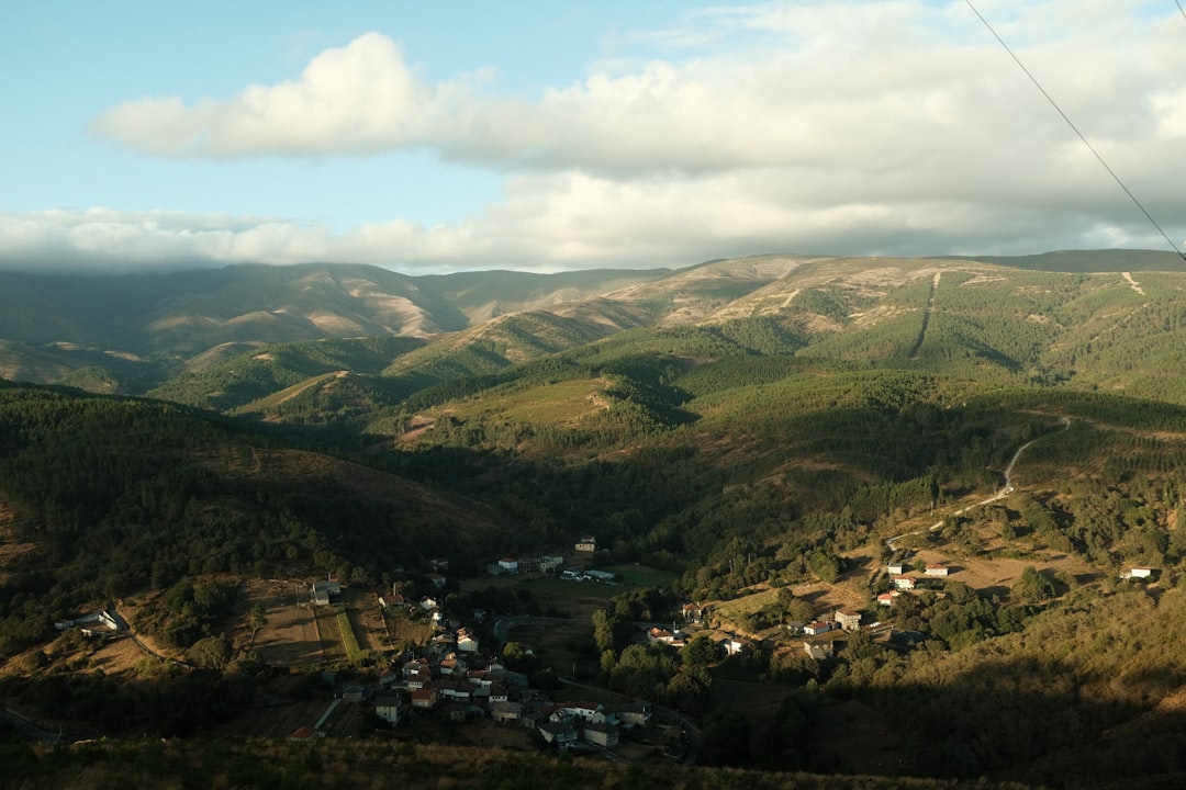 descubra tudo sobre carragenina: o que é, para que serve, benefícios, usos na indústria alimentícia e segurança para a saúde. guia completo e atualizado!