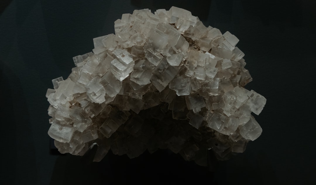 descubra os benefícios do magnésio para a saúde, como ele atua no corpo, principais fontes alimentares e dicas para garantir a ingestão adequada desse mineral essencial.